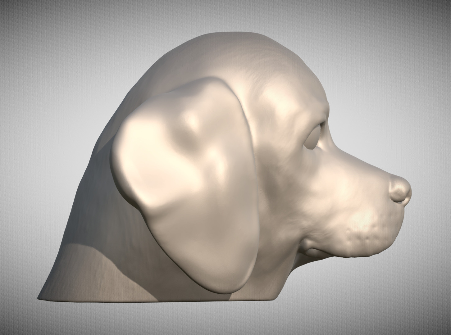 Puppy of Beagle dog head for 3D printing 3D print model_4