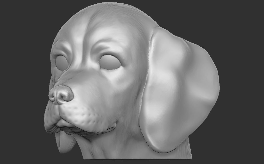 Puppy of Beagle dog head for 3D printing 3D print model_17