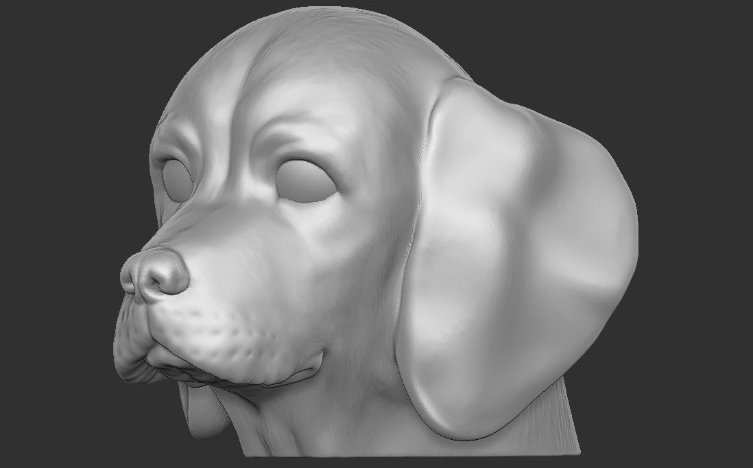 Puppy of Beagle dog head for 3D printing 3D print model_6