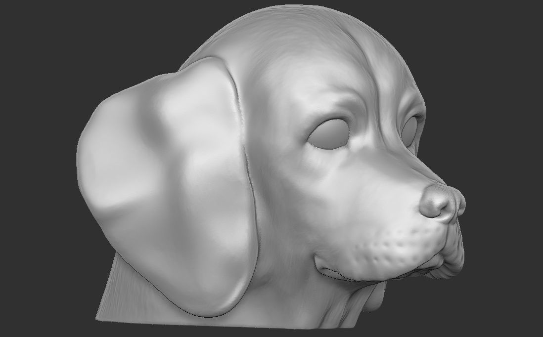 Puppy of Beagle dog head for 3D printing 3D print model_9
