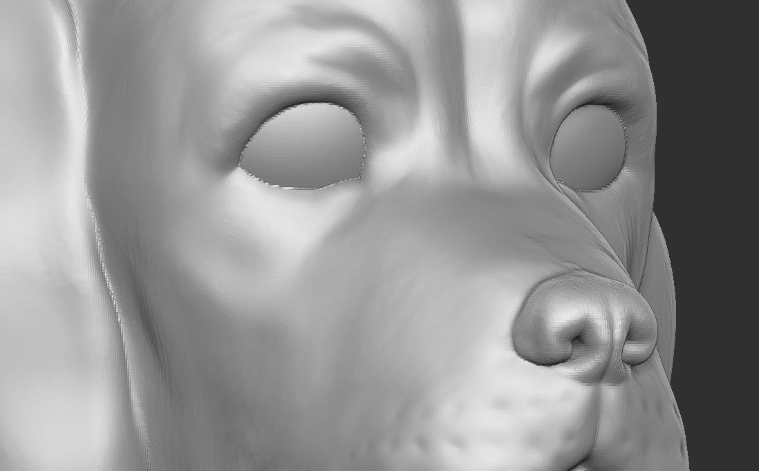 Puppy of Beagle dog head for 3D printing 3D print model_19