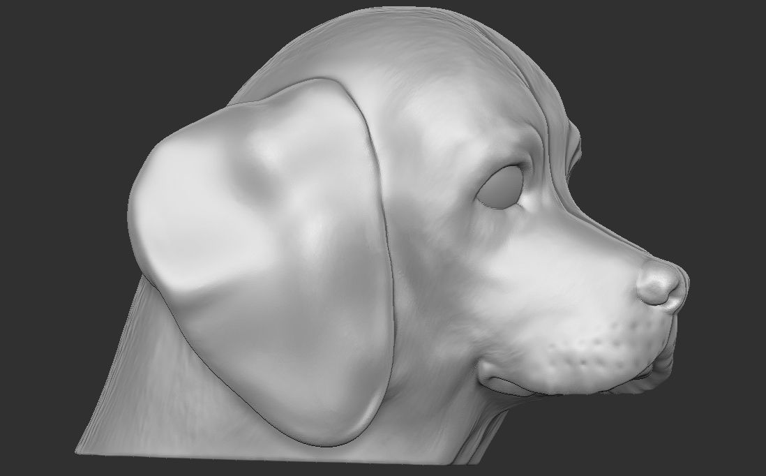 Puppy of Beagle dog head for 3D printing 3D print model_10