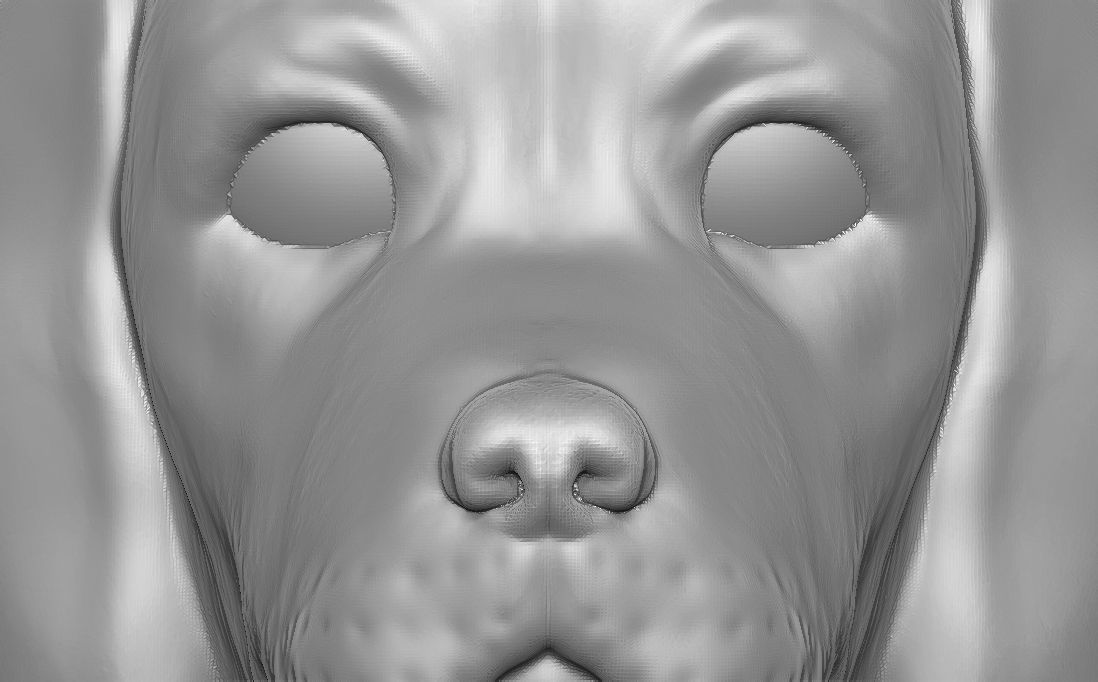 Puppy of Beagle dog head for 3D printing 3D print model_18