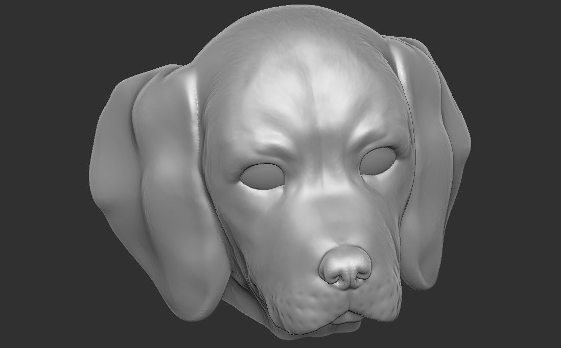 Puppy of Beagle dog head for 3D printing 3D print model_23