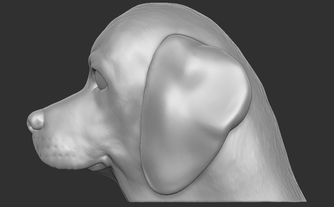 Puppy of Beagle dog head for 3D printing 3D print model_16