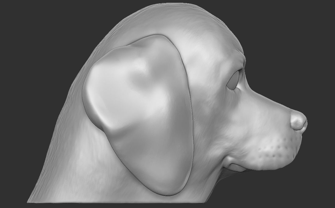 Puppy of Beagle dog head for 3D printing 3D print model_11