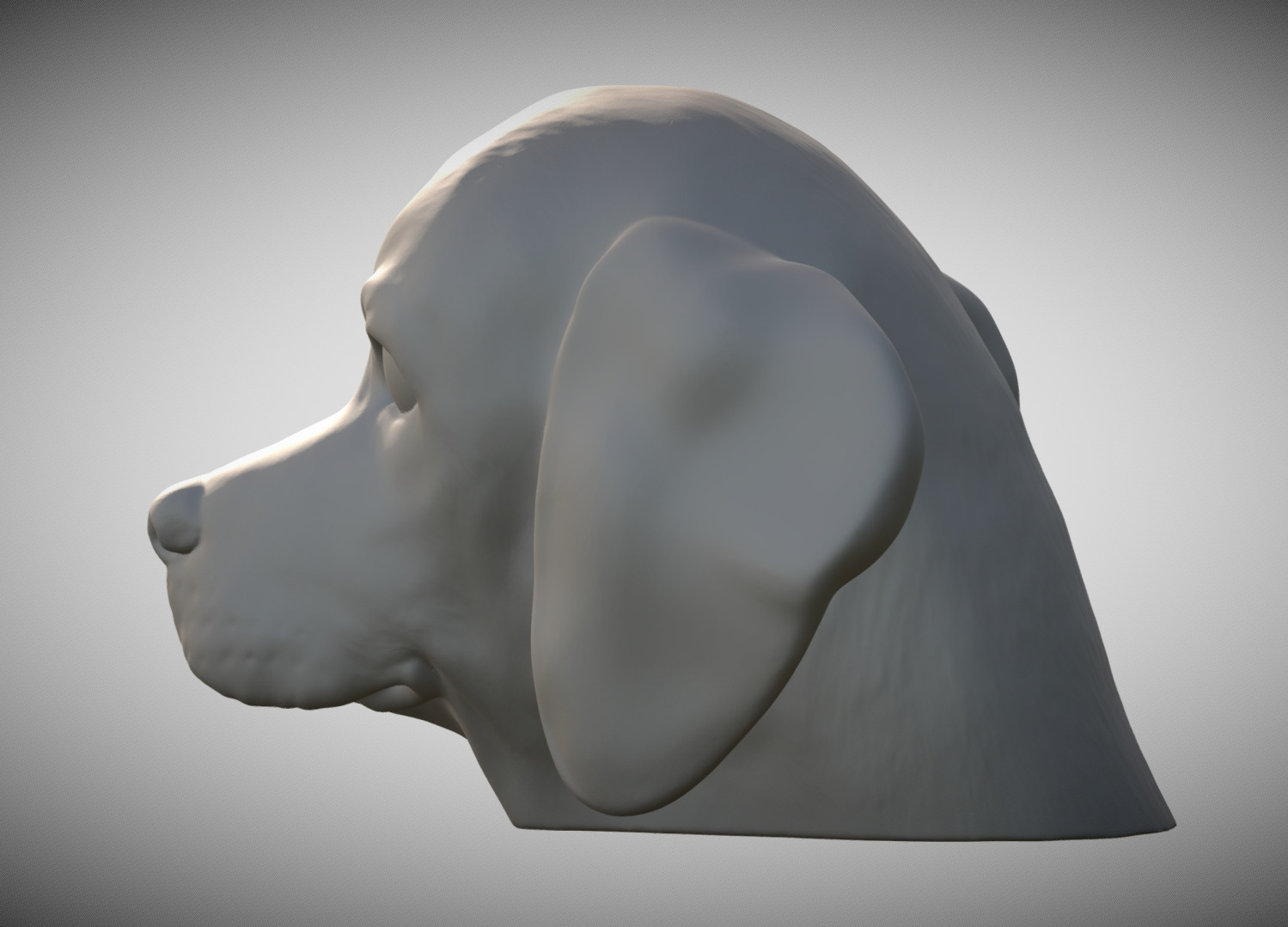 Puppy of Beagle dog head for 3D printing 3D print model_3