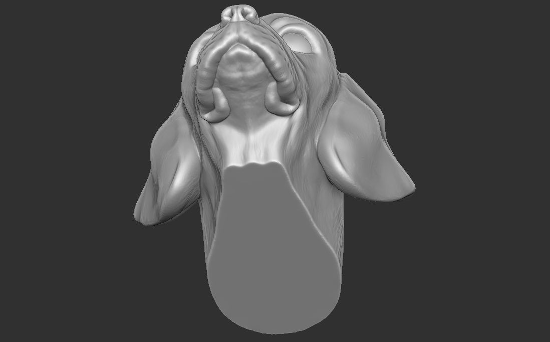 Puppy of Beagle dog head for 3D printing 3D print model_21