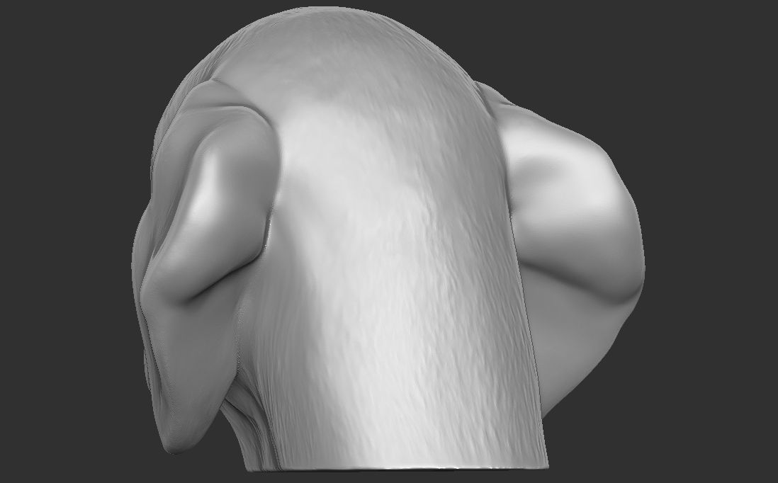 Puppy of Beagle dog head for 3D printing 3D print model_14