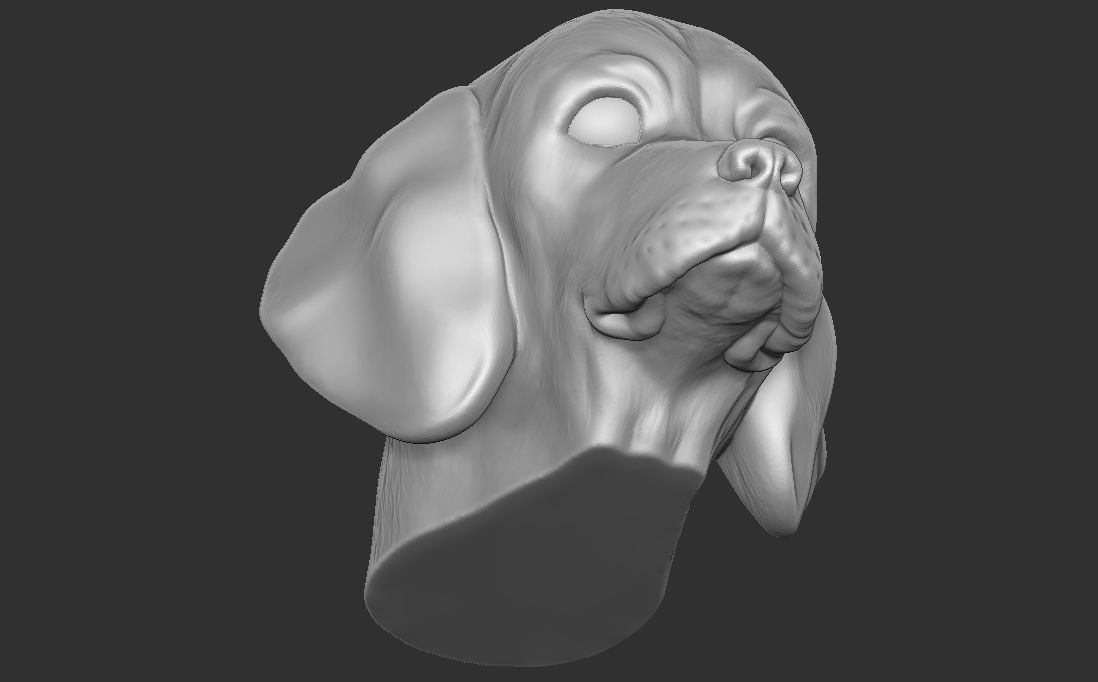 Puppy of Beagle dog head for 3D printing 3D print model_20