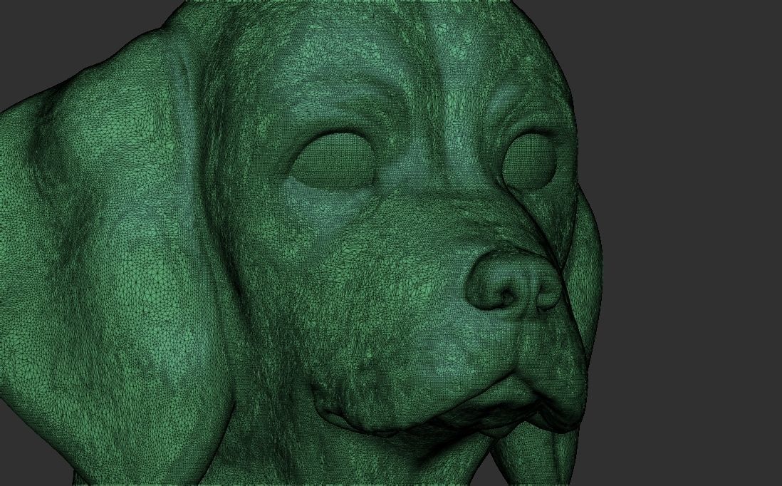 Puppy of Beagle dog head for 3D printing 3D print model_27