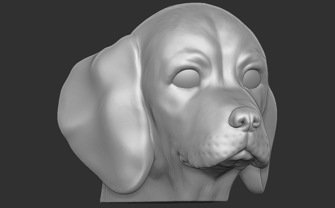 Puppy of Beagle dog head for 3D printing 3D print model_8