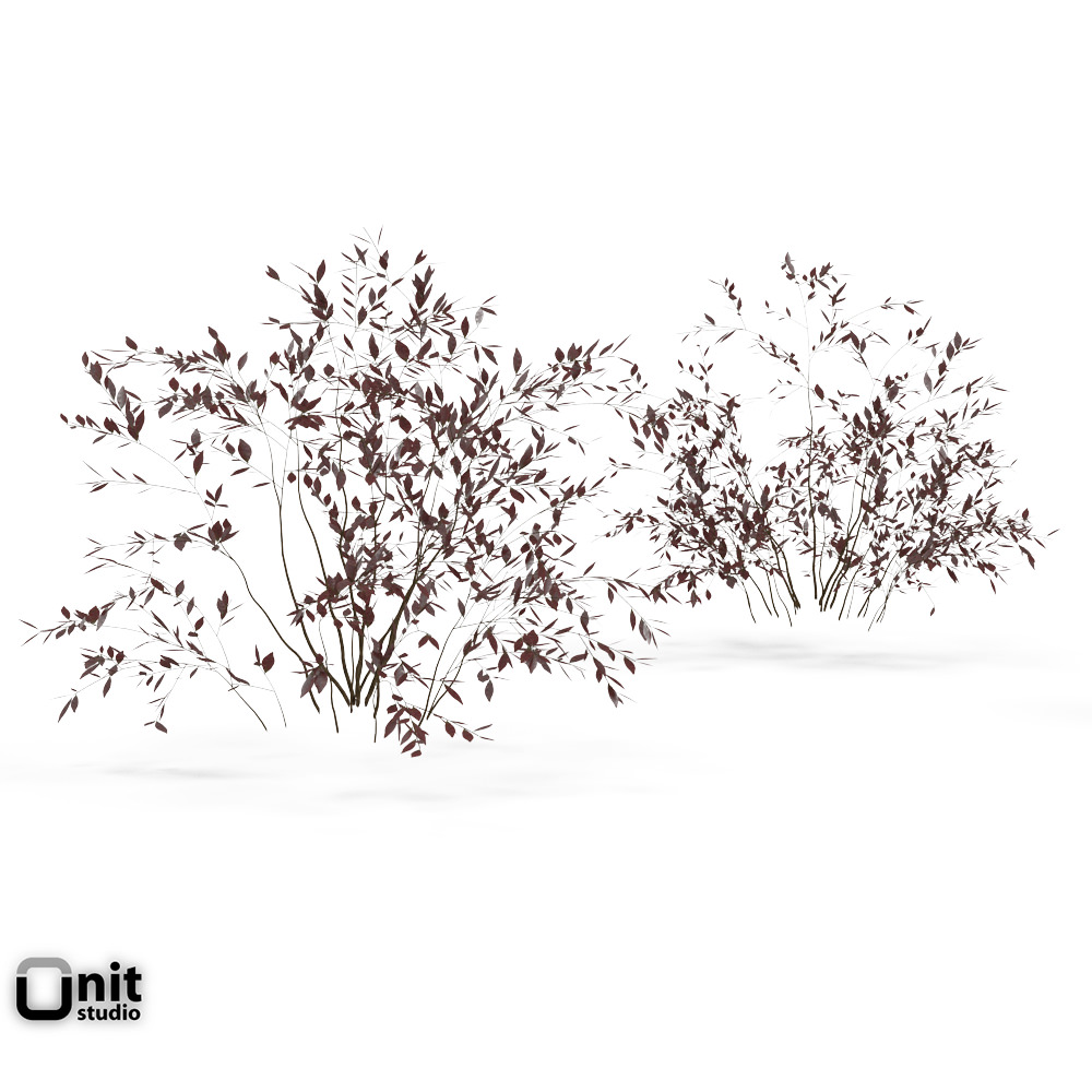 Bushes Collection - Set two plants in snow 3D model_1