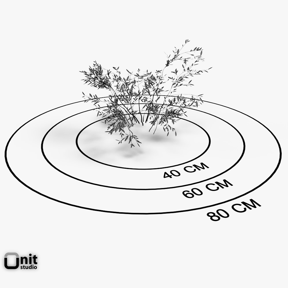 Bushes Collection - Set two plants in snow 3D model_7