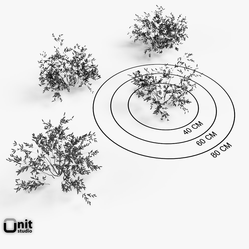 Bushes Collection - Set two plants in snow 3D model_4