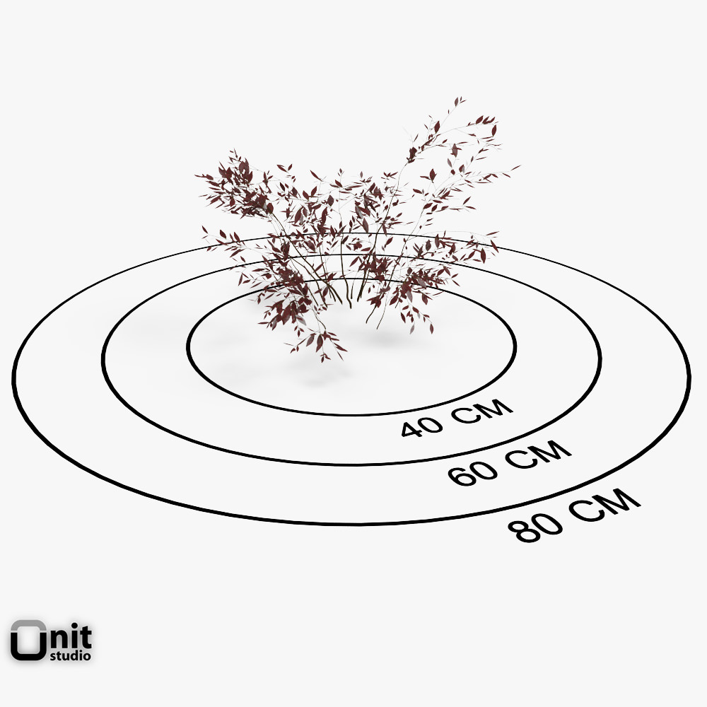 Bushes Collection - Set two plants in snow 3D model_3