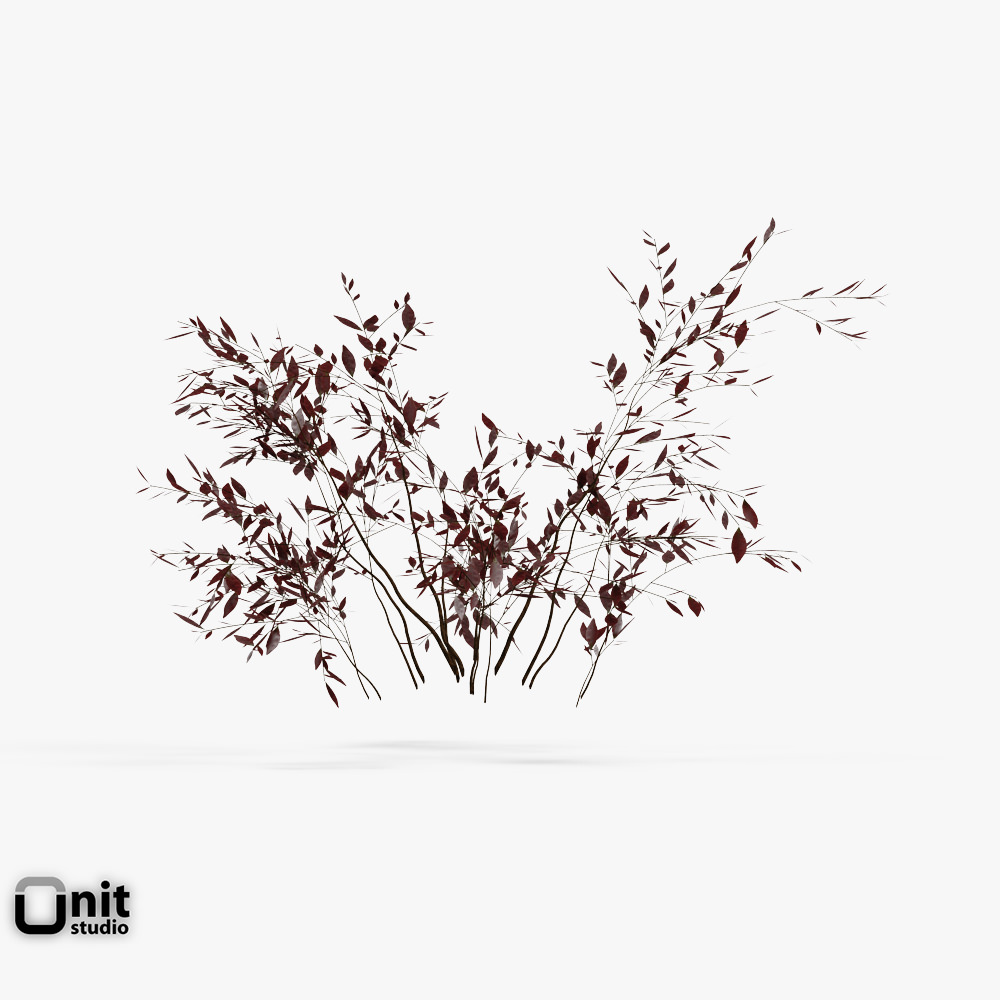 Bushes Collection - Set two plants in snow 3D model_2