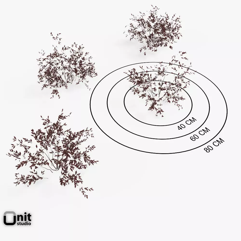 Bushes Collection - Set two plants in snow 3D model_0