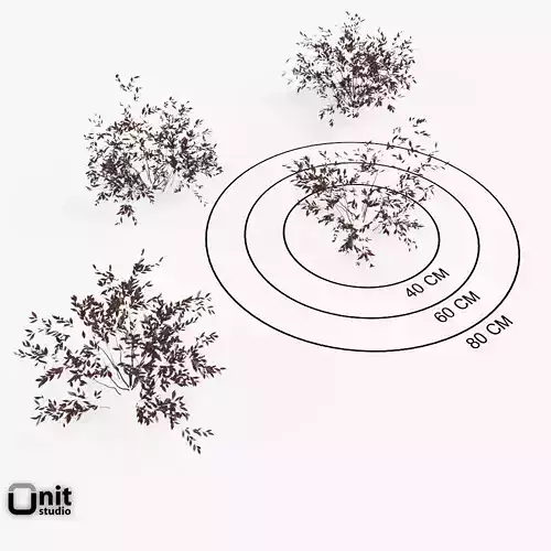 Bushes Collection - Set two plants in snow