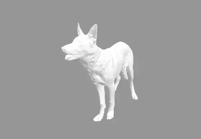 Malinois for 3d printing 3D print model 3D model