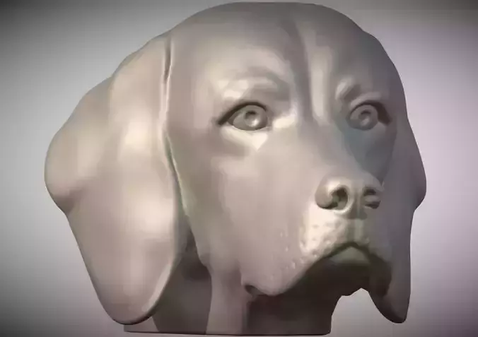 Beagle dog head for 3D printing  3D print model