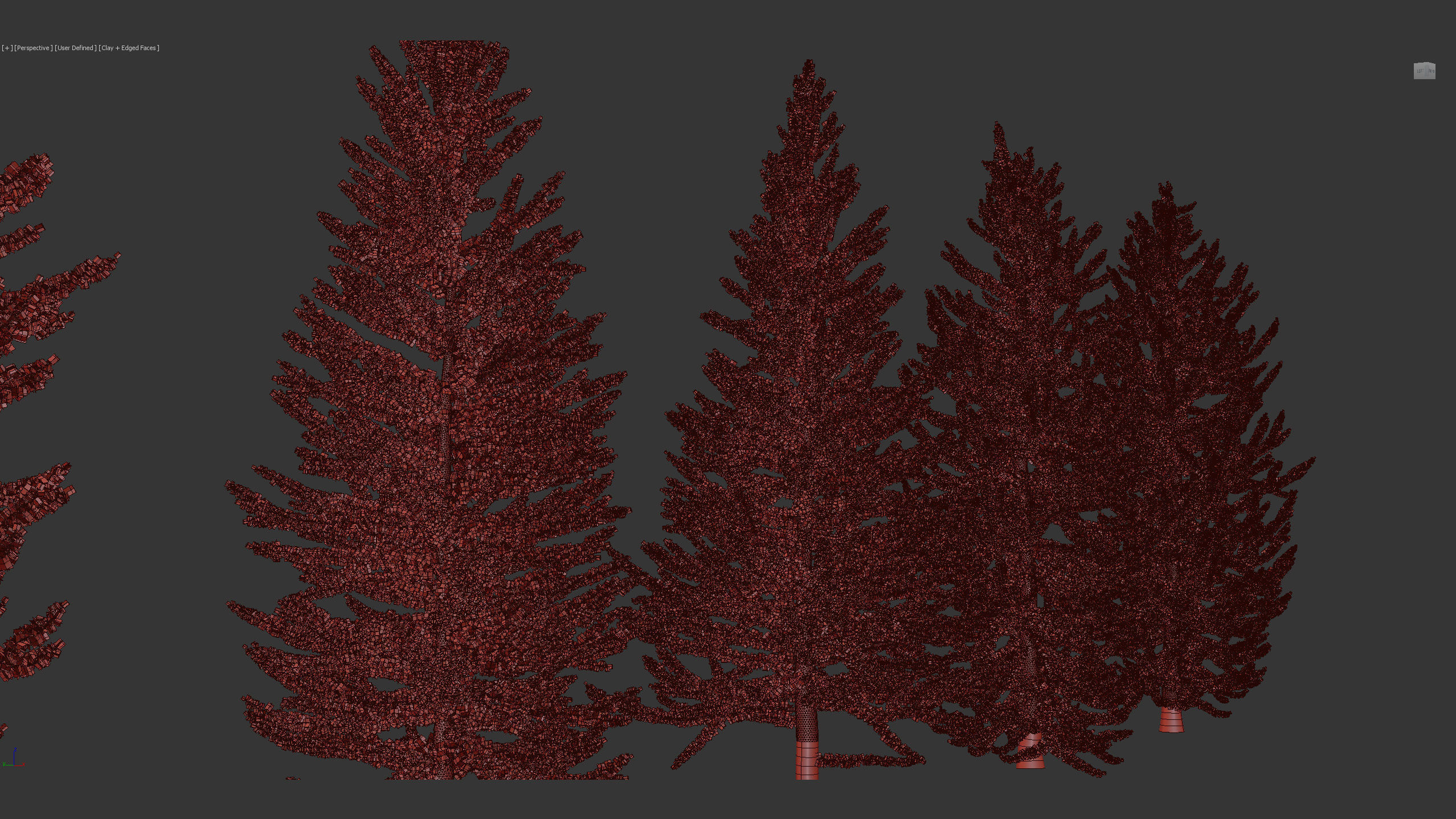 Larix laricina Tamarack 3D model_8