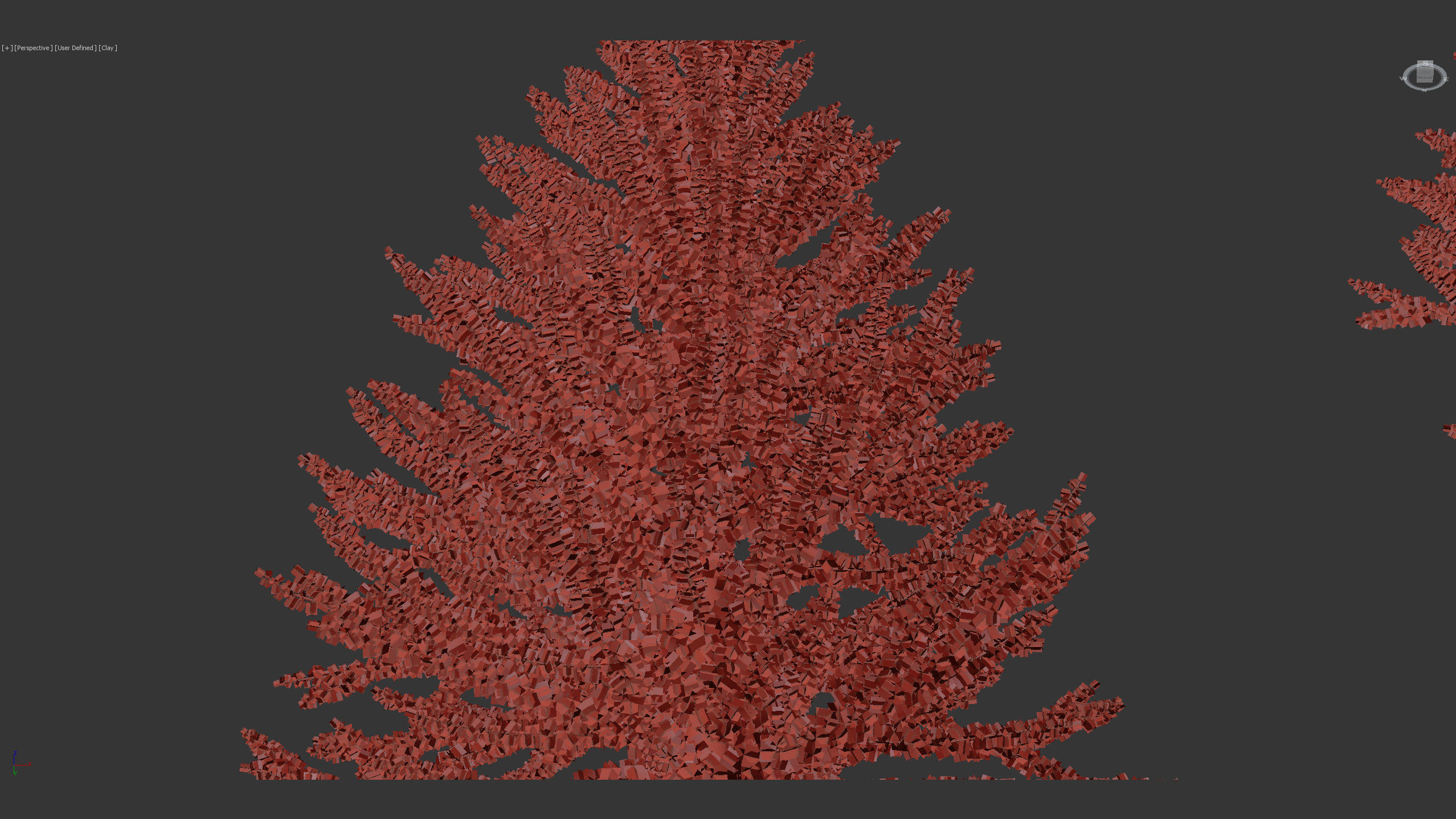 Larix laricina Tamarack 3D model_9