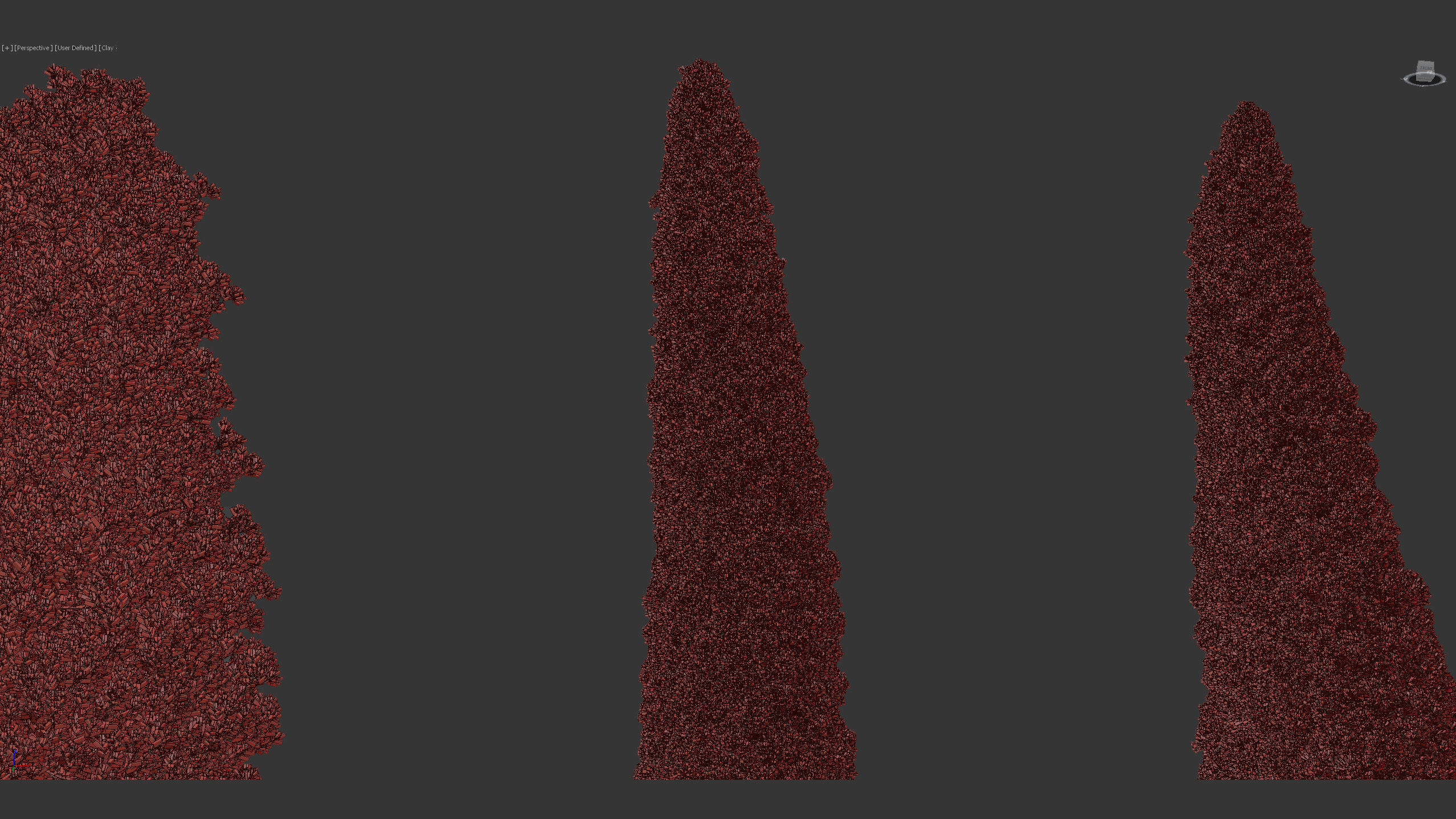 Juniperus virginiana Eastern red cedar 3D model_10