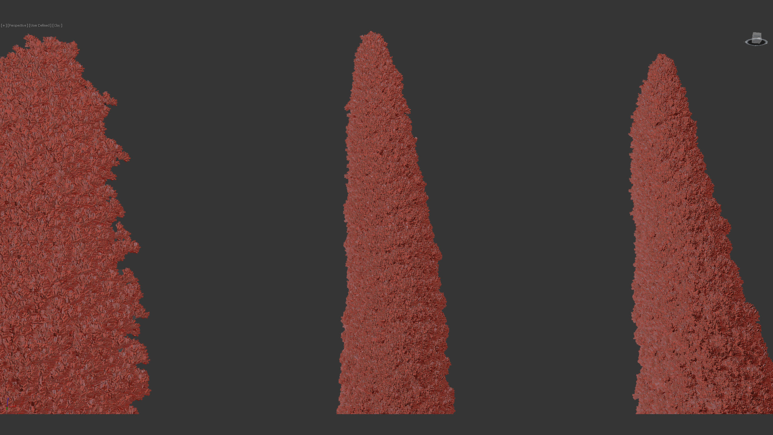 Juniperus virginiana Eastern red cedar 3D model_9
