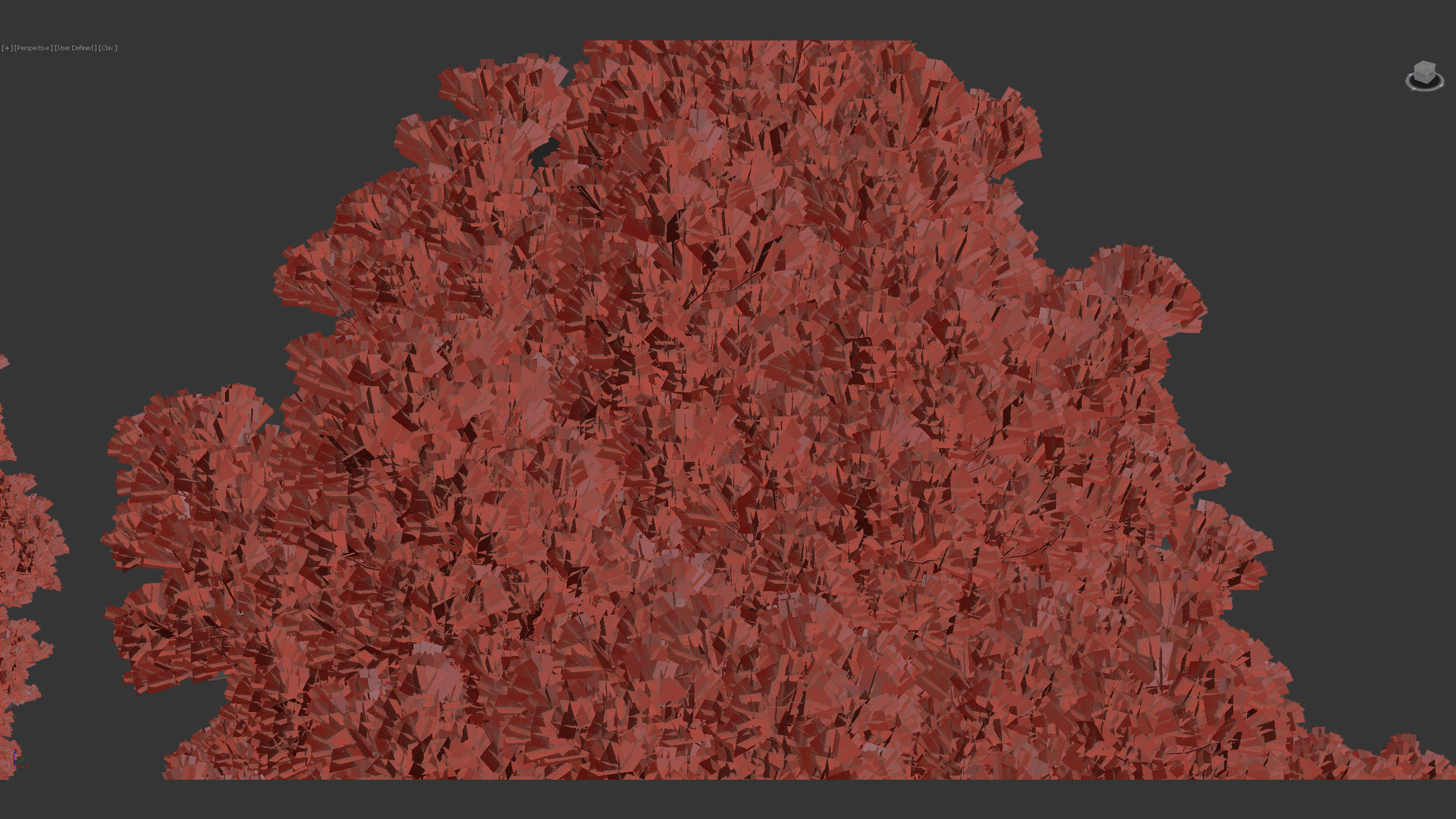 Juniperus virginiana Eastern red cedar 3D model_11