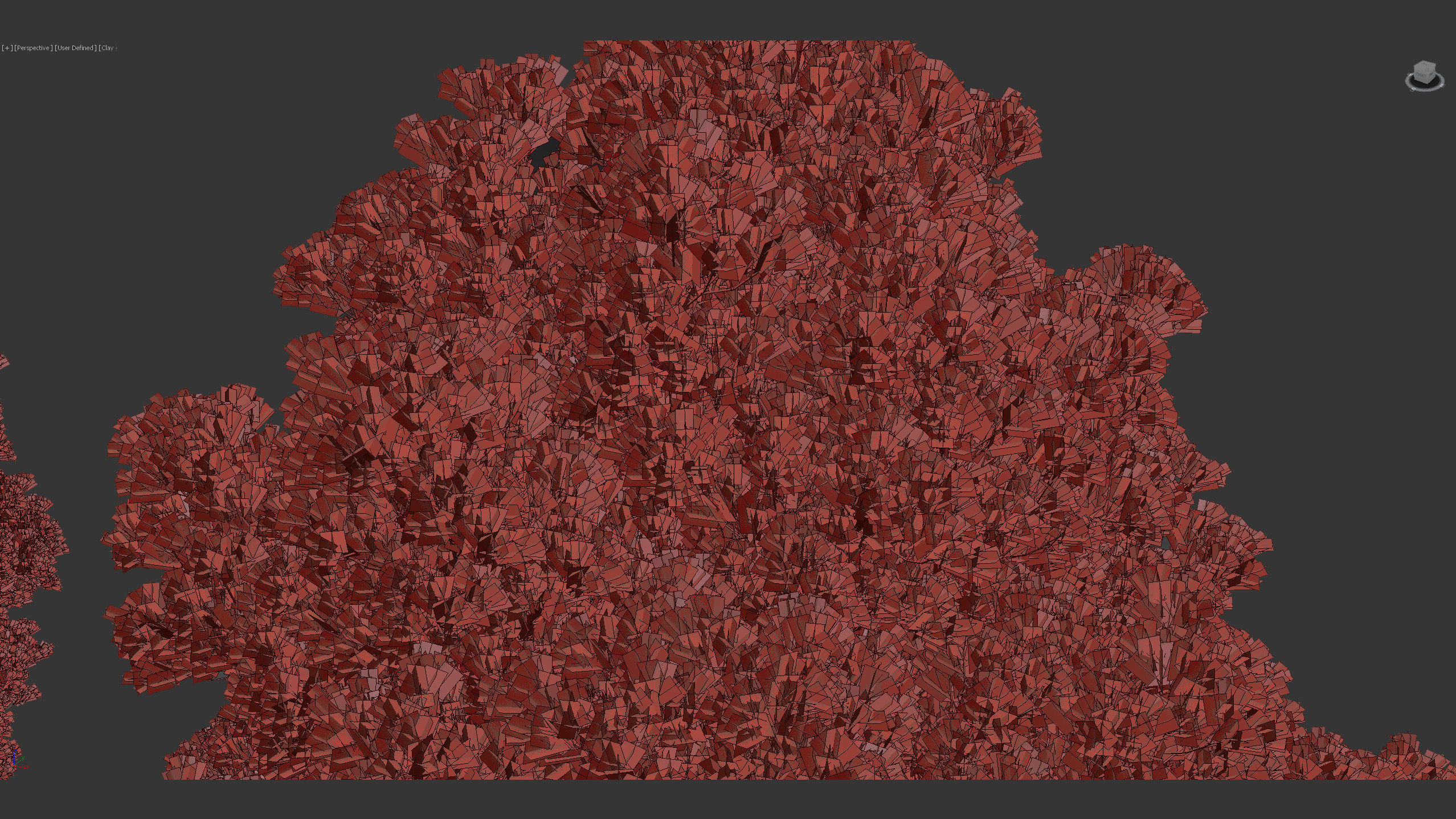 Juniperus virginiana Eastern red cedar 3D model_12