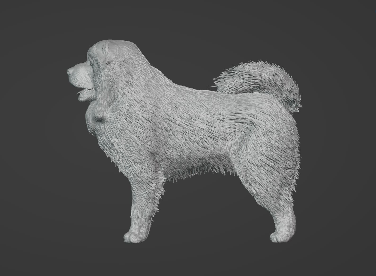 Caucasian Shepherd Dog 3D model_1