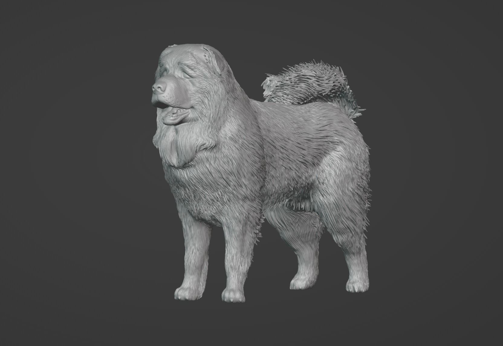 Caucasian Shepherd Dog 3D model_2