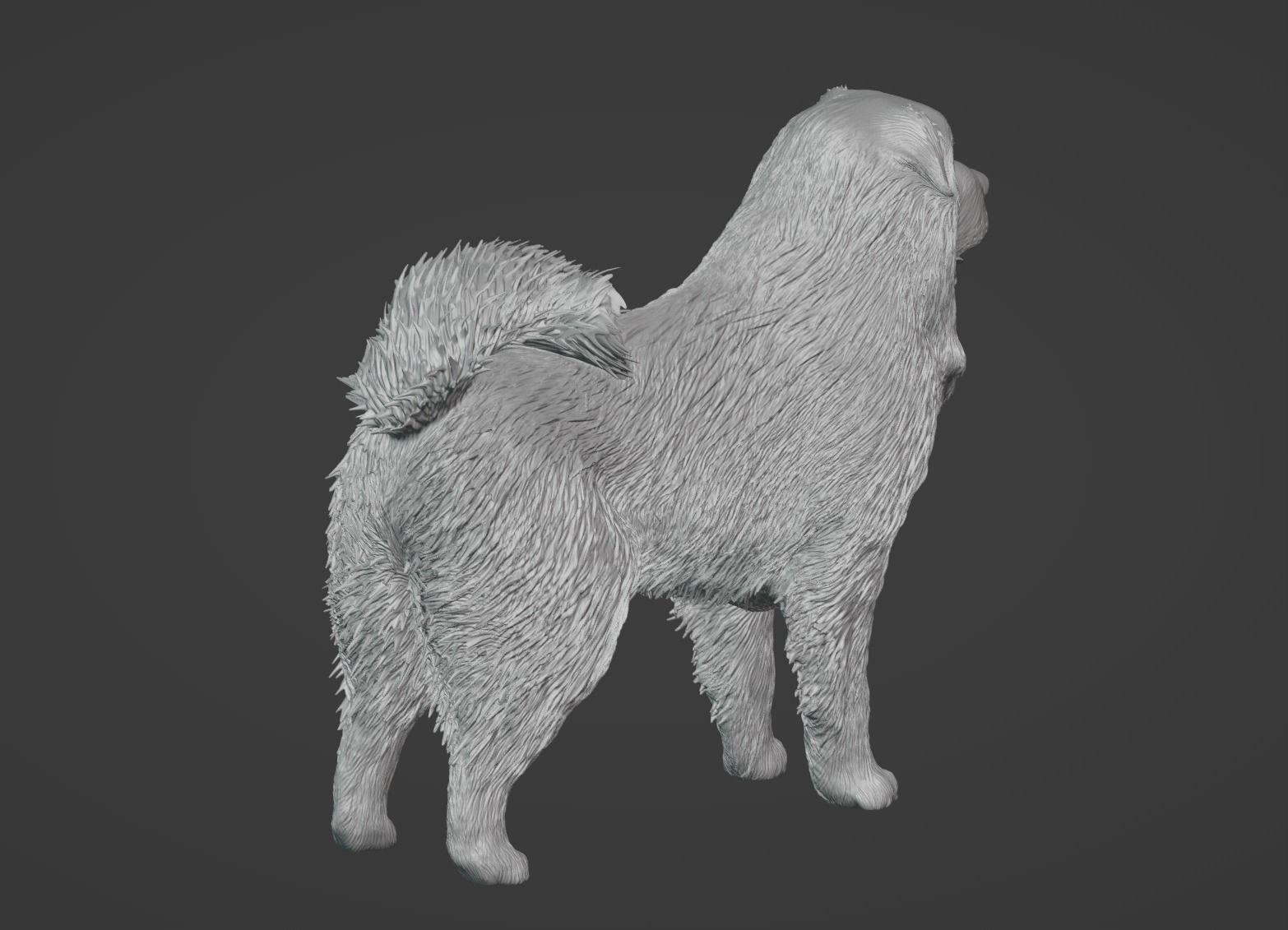 Caucasian Shepherd Dog 3D model_6