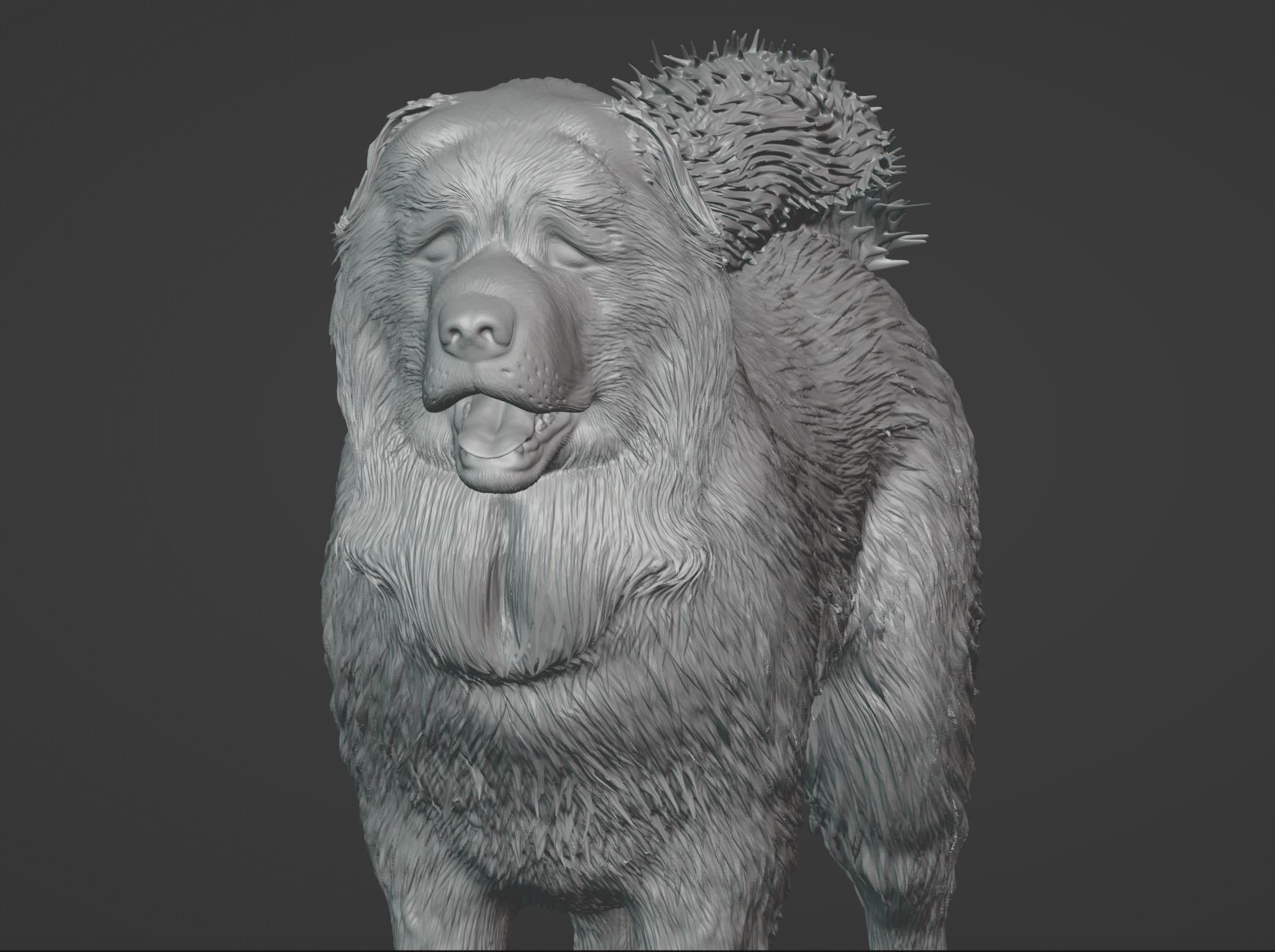 Caucasian Shepherd Dog 3D model_5