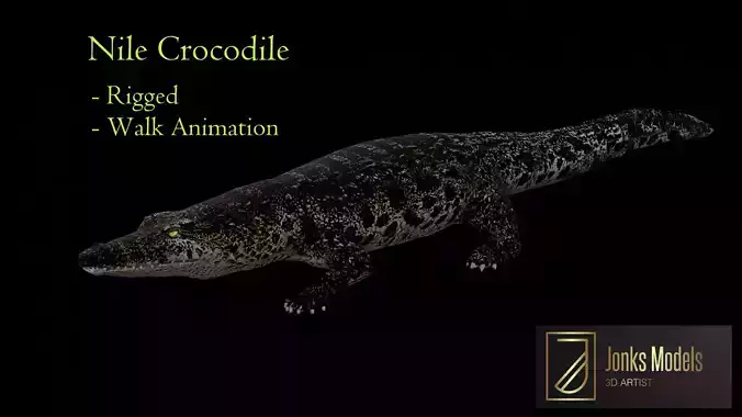 Nile Crocodile Low-poly 3D model