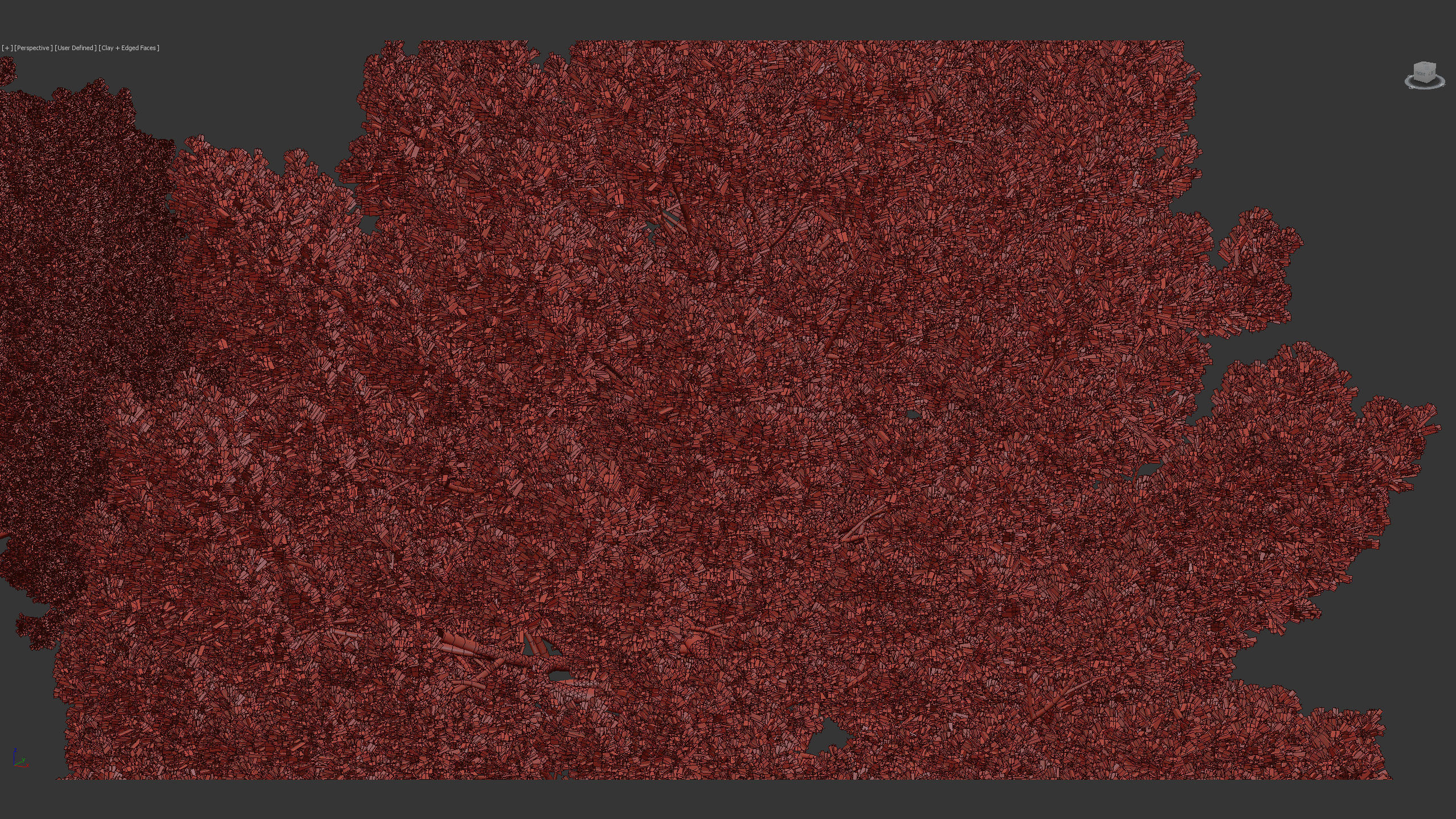 Juniperus excelsa Greek juniper 3D model_10