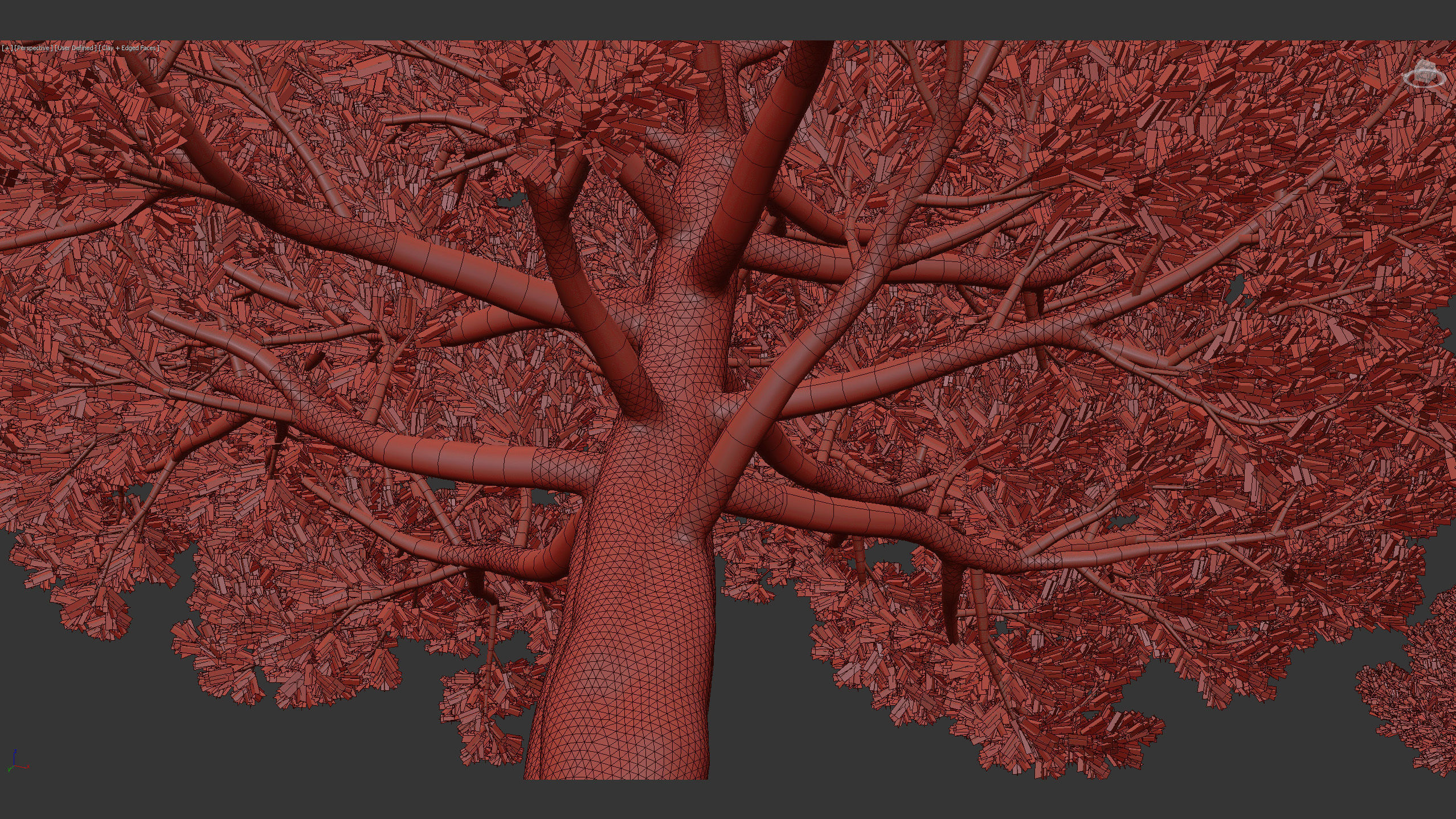 Juniperus excelsa Greek juniper 3D model_11