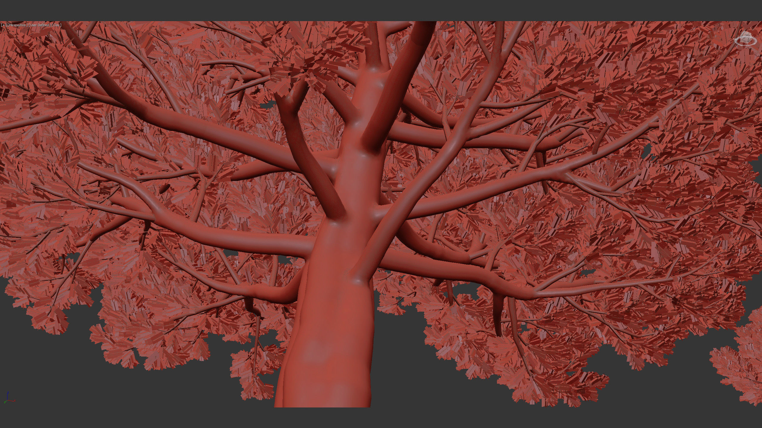 Juniperus excelsa Greek juniper 3D model_12