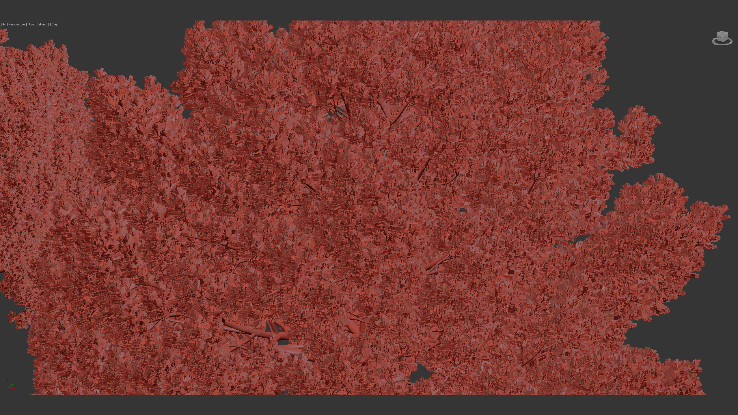 Juniperus excelsa Greek juniper 3D model_9