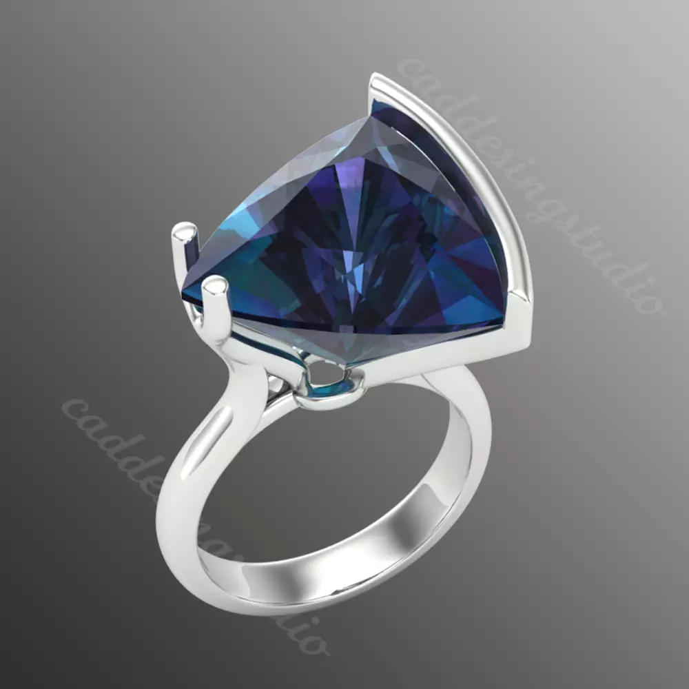 Ring rk113 3D print model_0