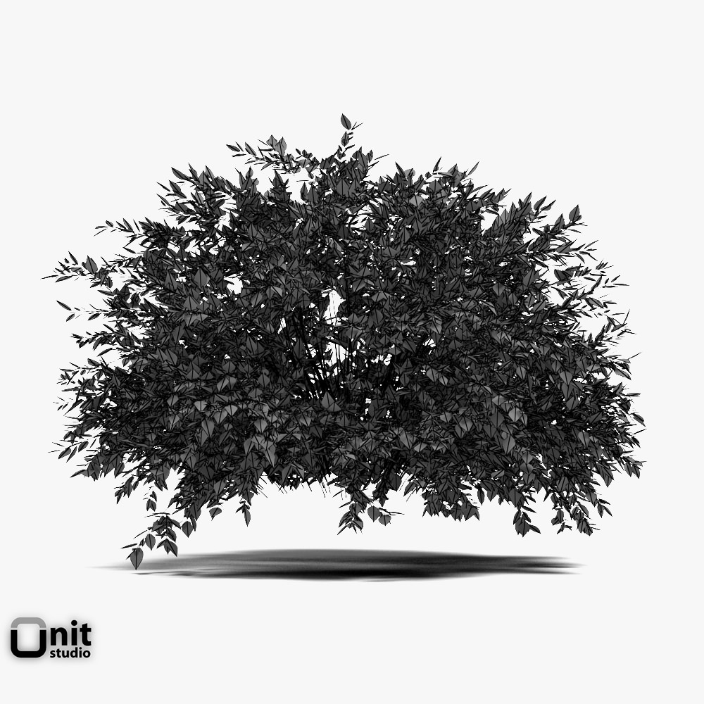 Bushes Collection - Set tree 3D model_7