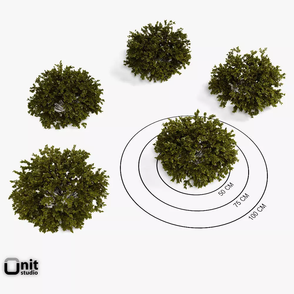 Bushes Collection - Set tree 3D model_0