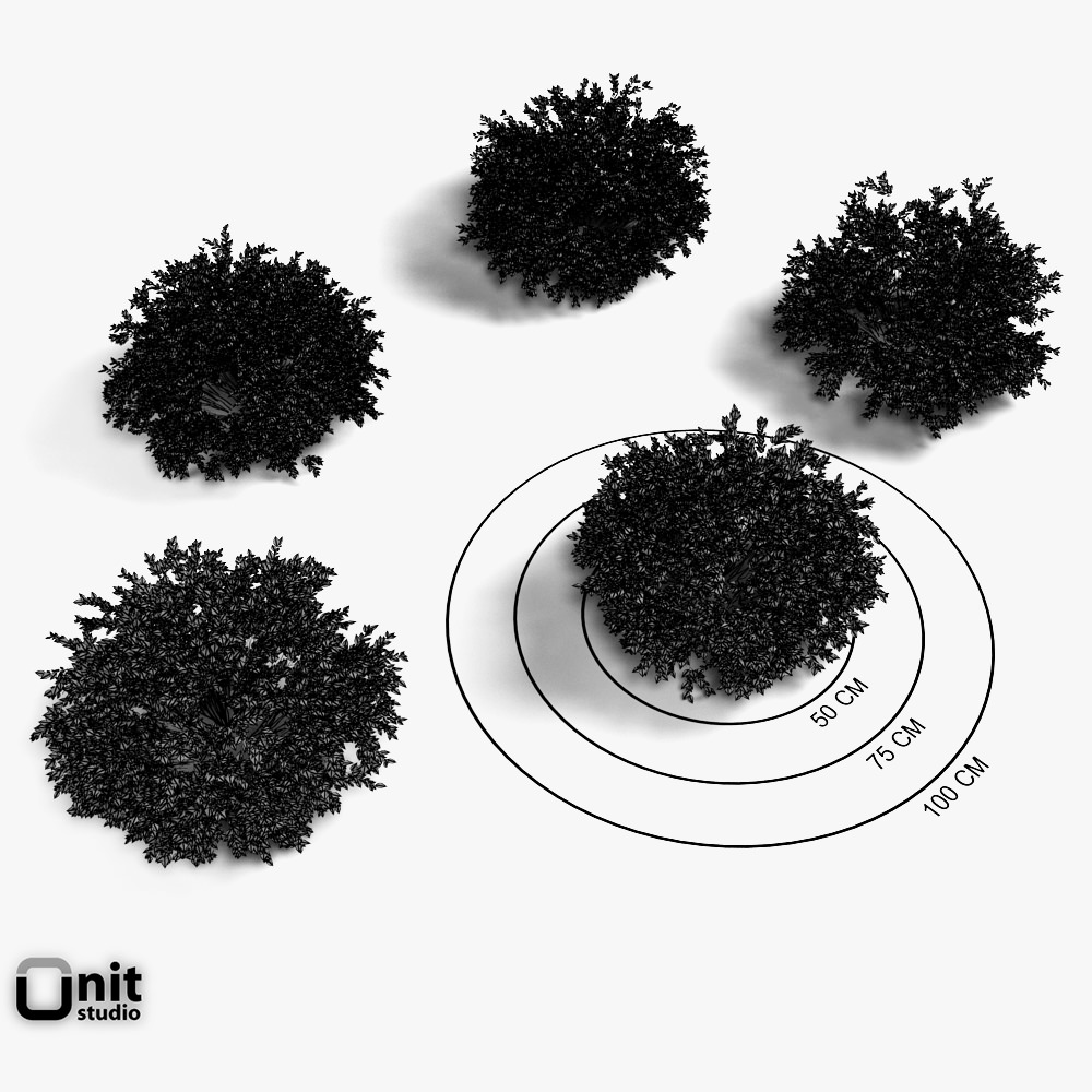 Bushes Collection - Set tree 3D model_4