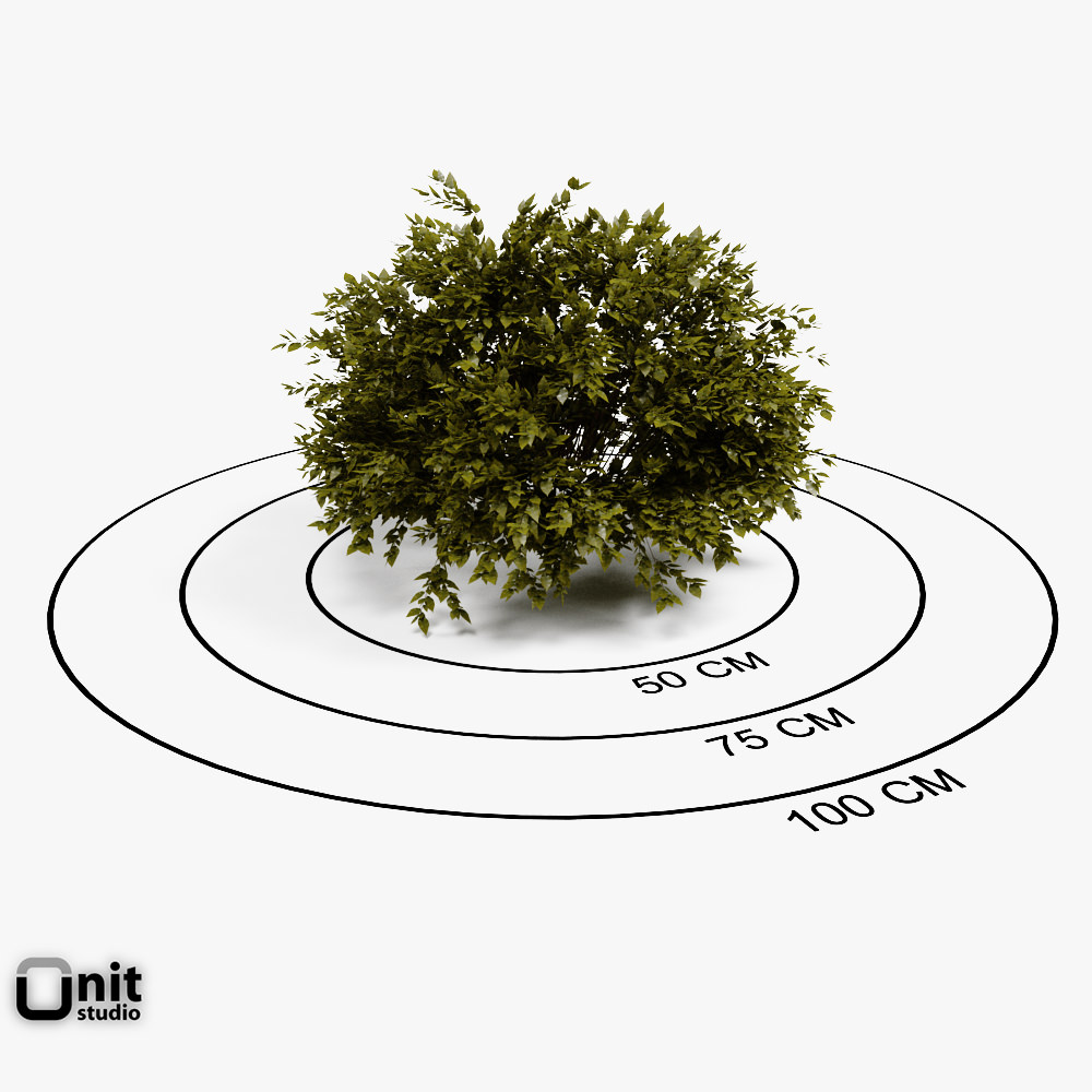 Bushes Collection - Set tree 3D model_2