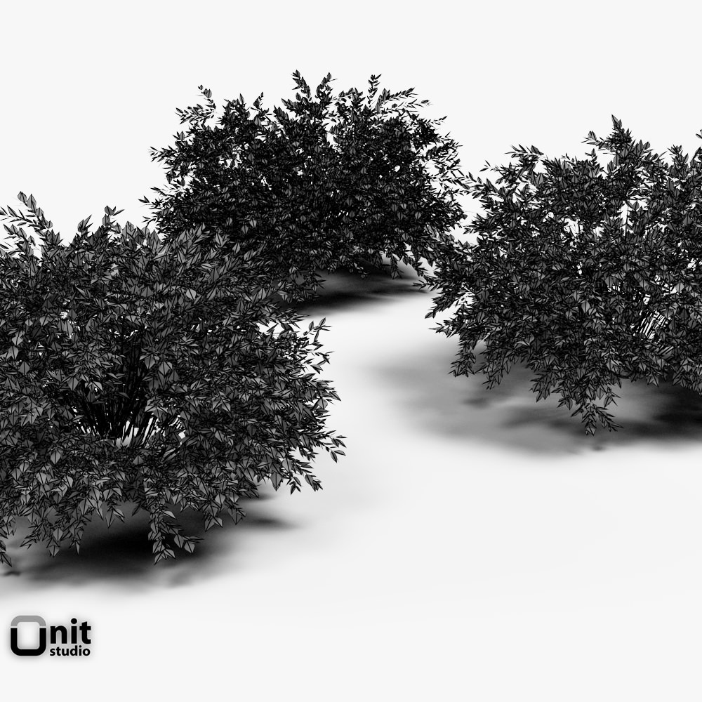 Bushes Collection - Set tree 3D model_5