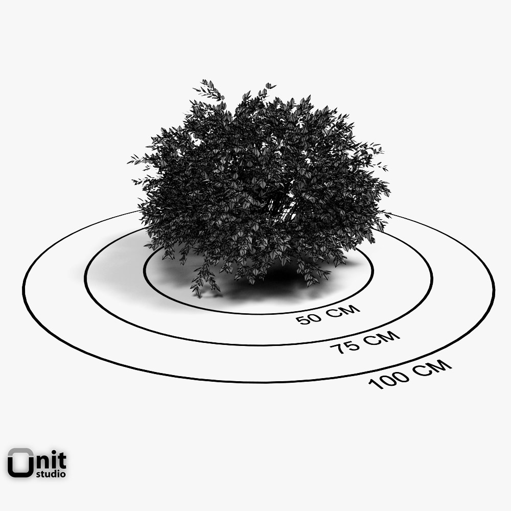 Bushes Collection - Set tree 3D model_6