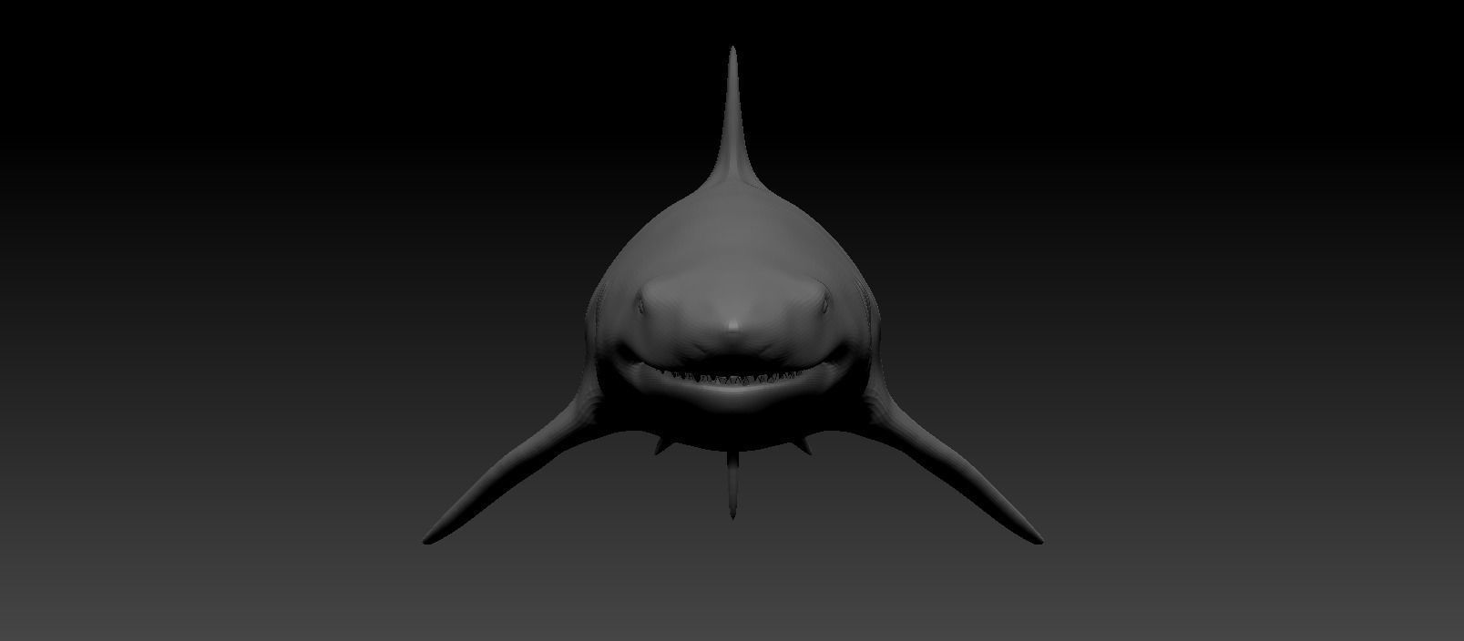 White shark base model Low-poly 3D model_1