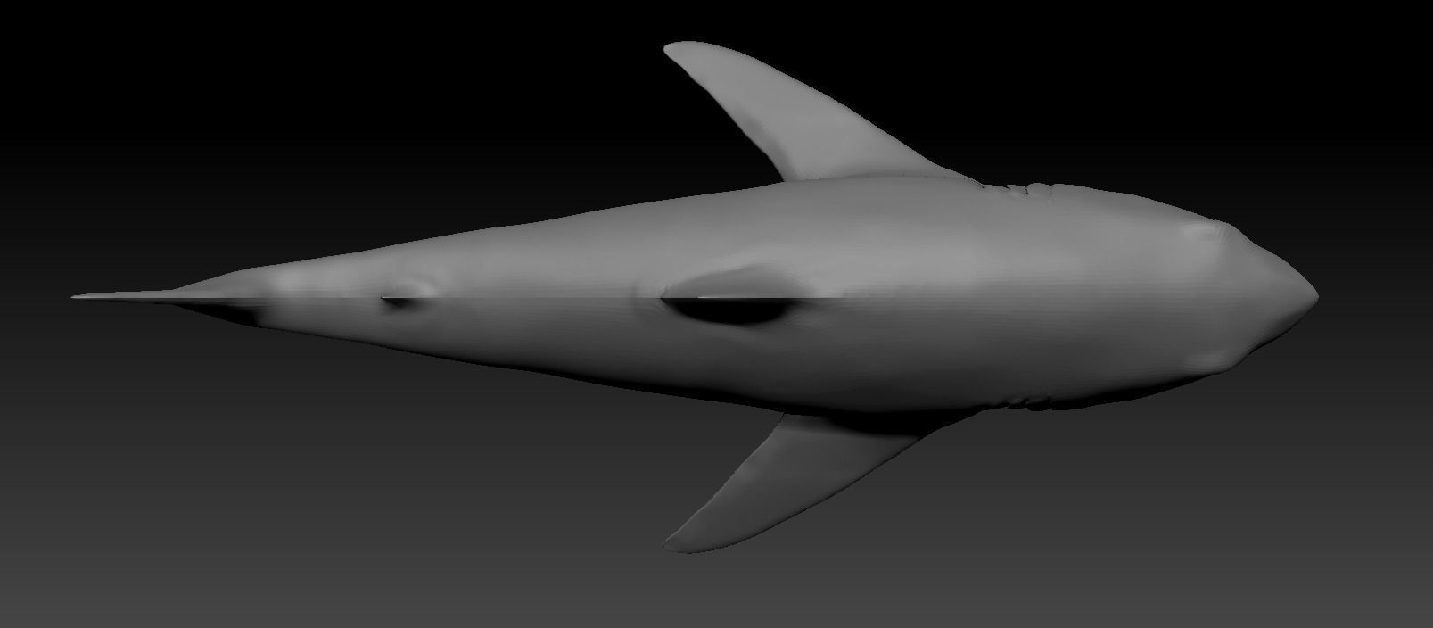White shark base model Low-poly 3D model_9