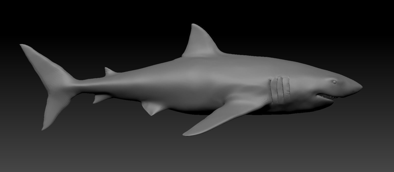 White shark base model Low-poly 3D model_7